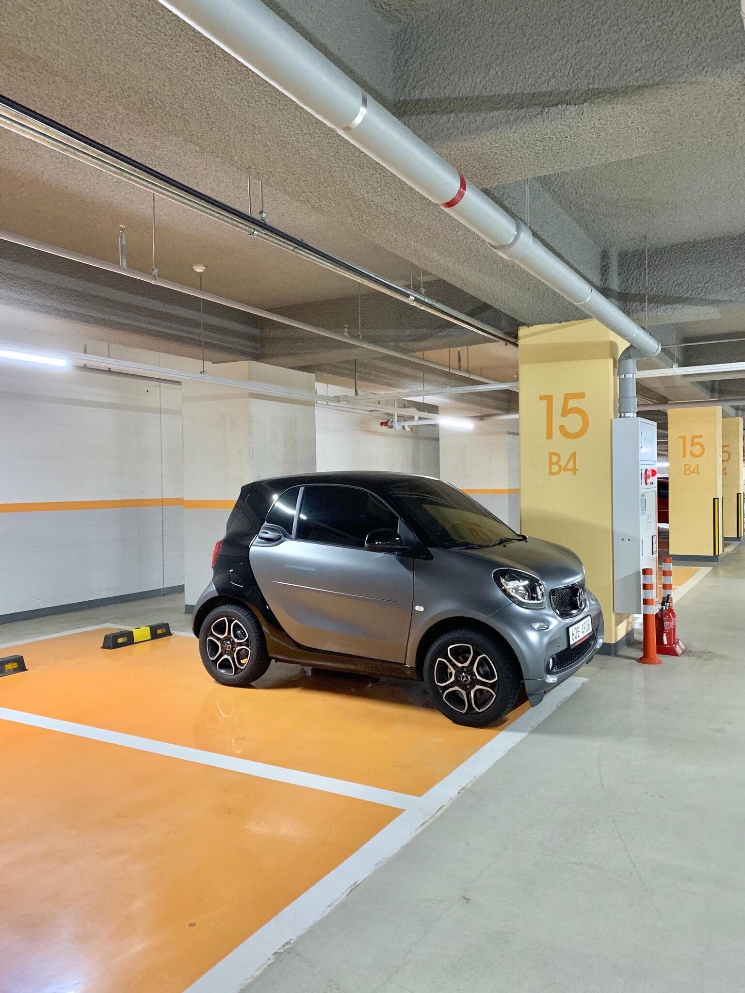 레어템 스마트 포투 목격 게시글 썸네일