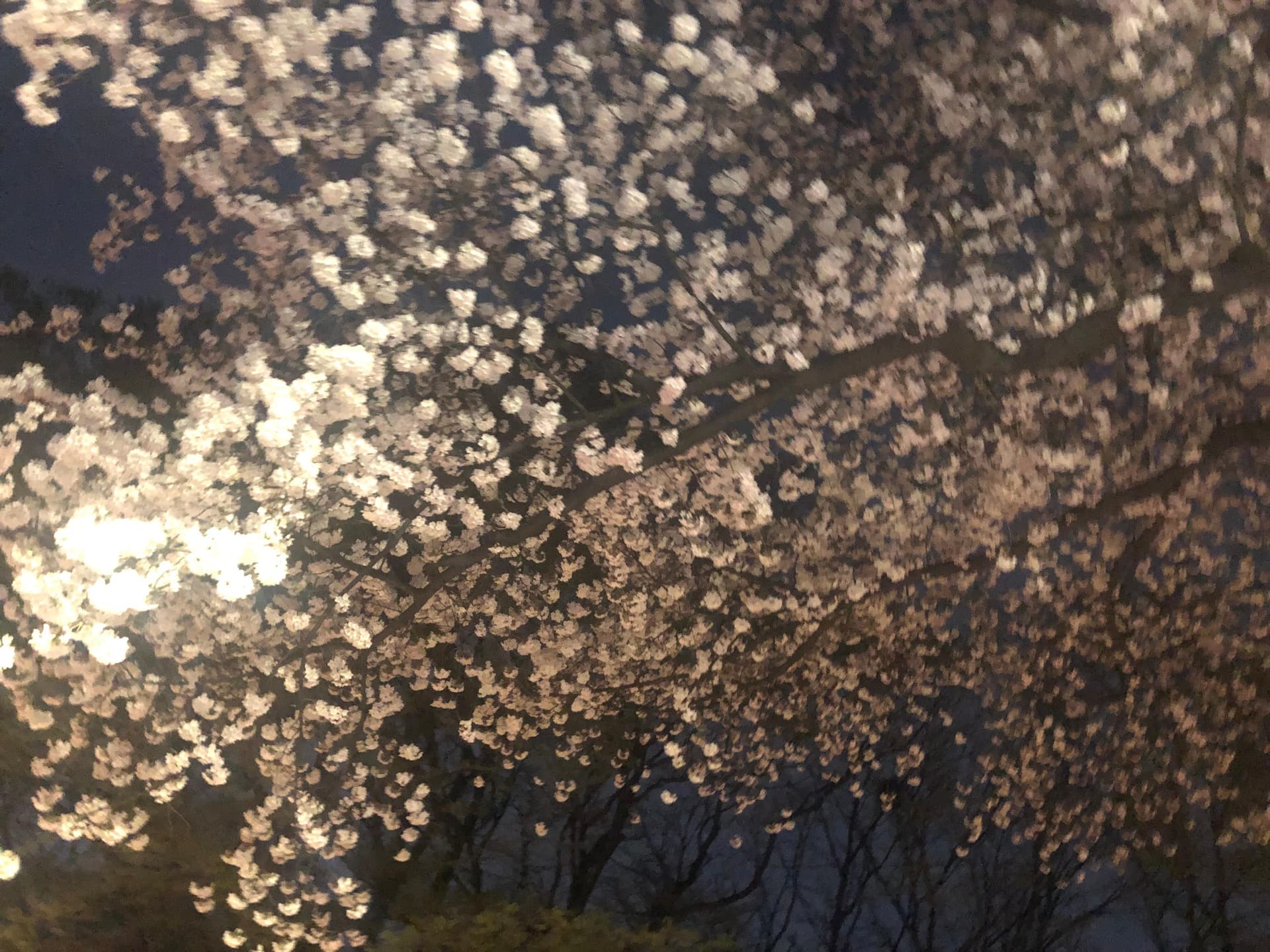 남산 게시글 썸네일