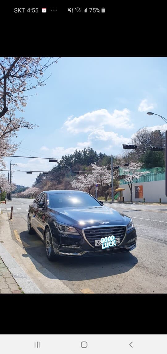 제네시스 G80 디젤 2.2 AWD 게시글 썸네일