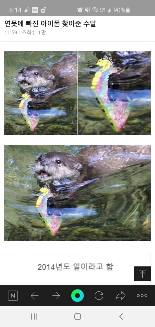 아이폰 찾아준 수달 게시글 썸네일