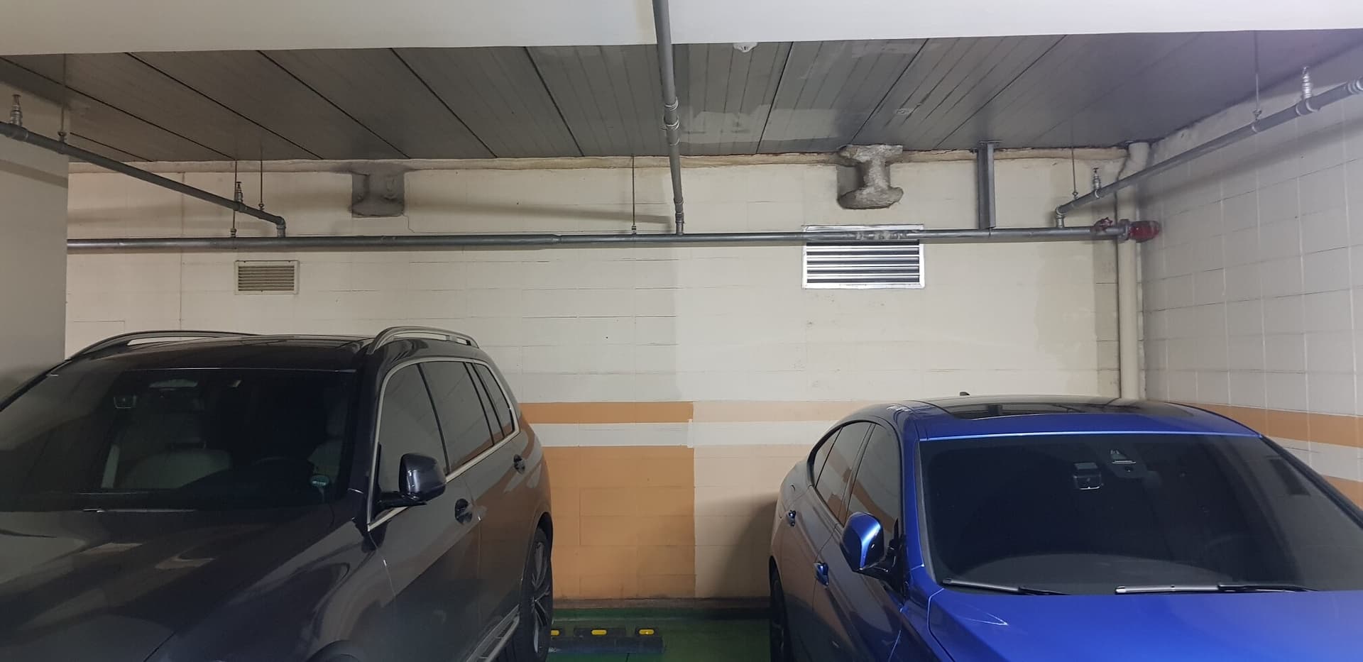 못 맞추라고 내는 문제 게시글 썸네일