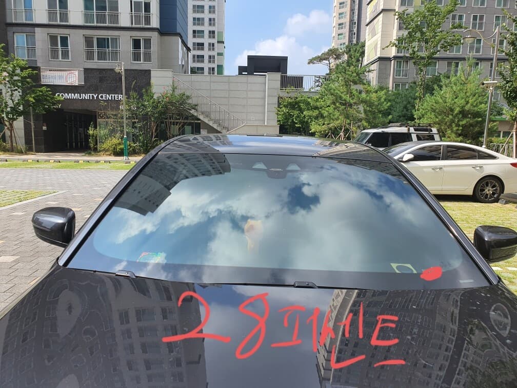 솔라가드 퀀텀 밖에서 보기 게시글 썸네일