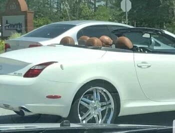 착시현상 게시글 썸네일