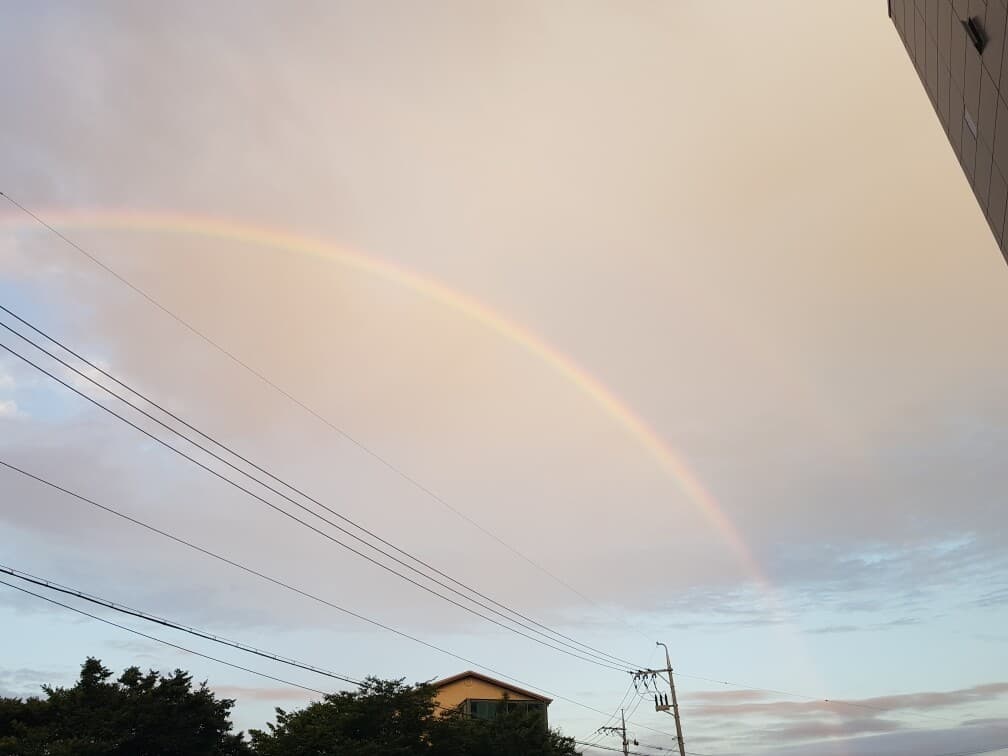 비차량- 안구정화(여자아님) 게시글 썸네일