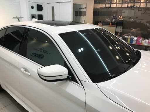 데리고 왔습니다ᆢ 게시글 썸네일