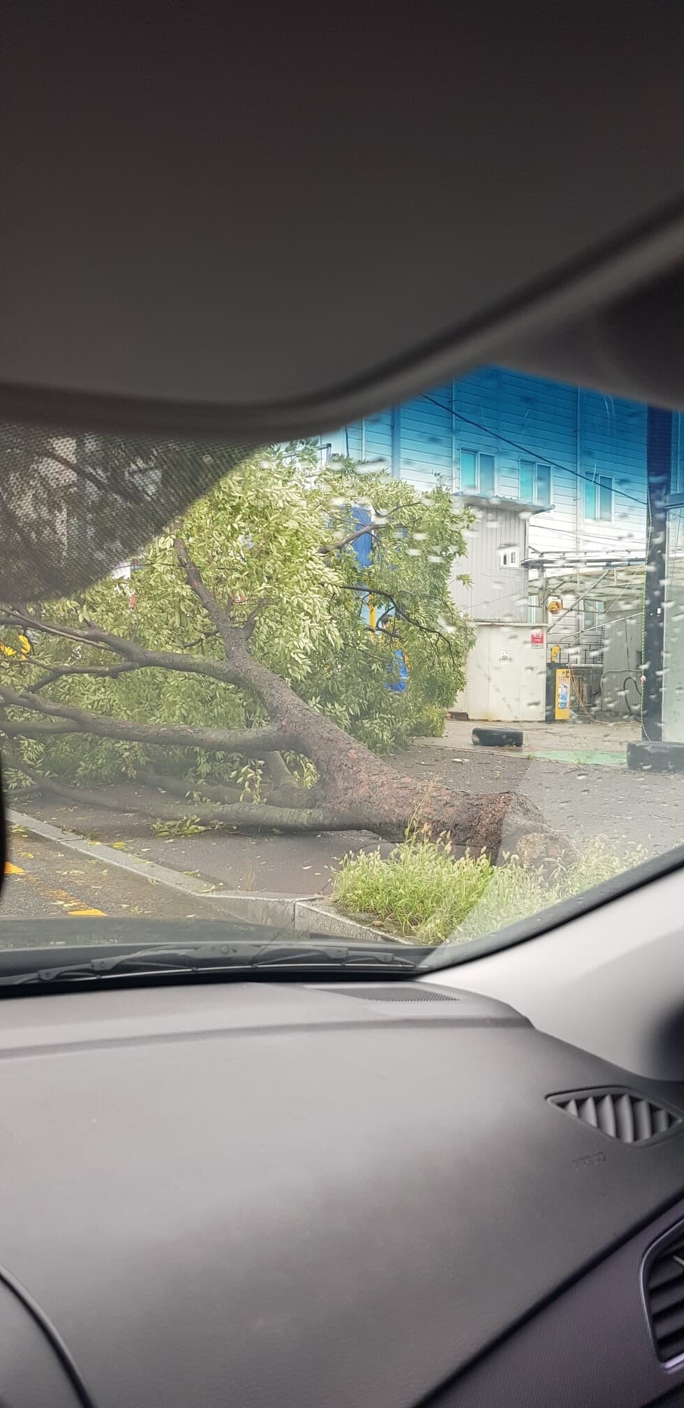 태풍의 위력이란 게시글 썸네일