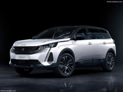 3008의 롱바디 성격, 뉴 5008 공개 게시글 썸네일