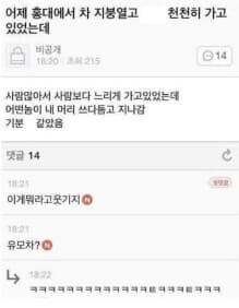 [차유머] 홍대에서 차 몰고 가고 있었는데... 게시글 썸네일