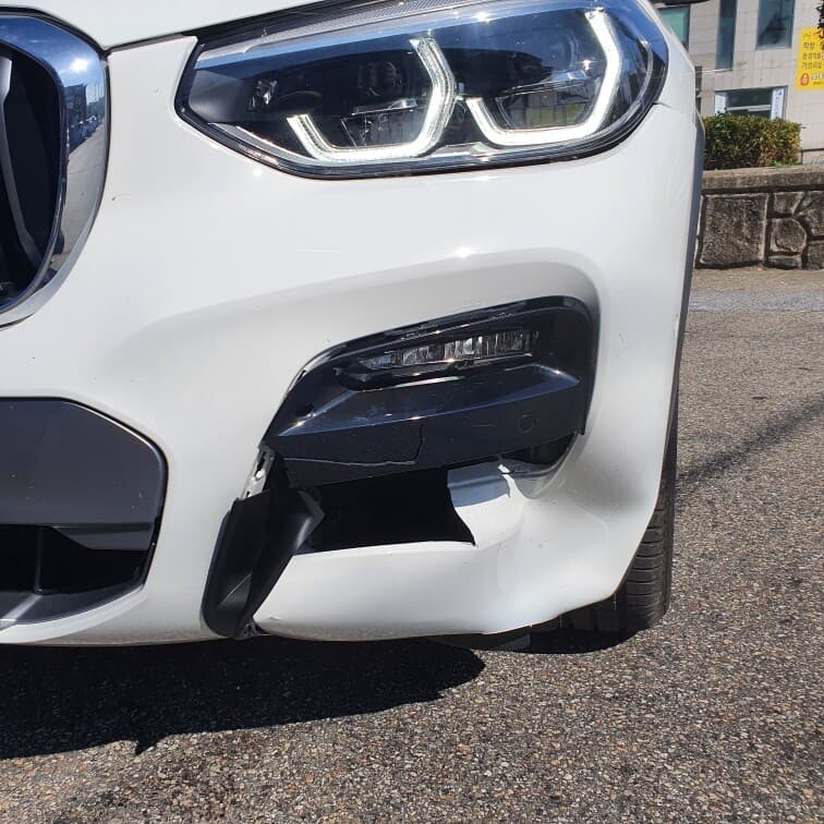 고라니.. ! 게시글 썸네일