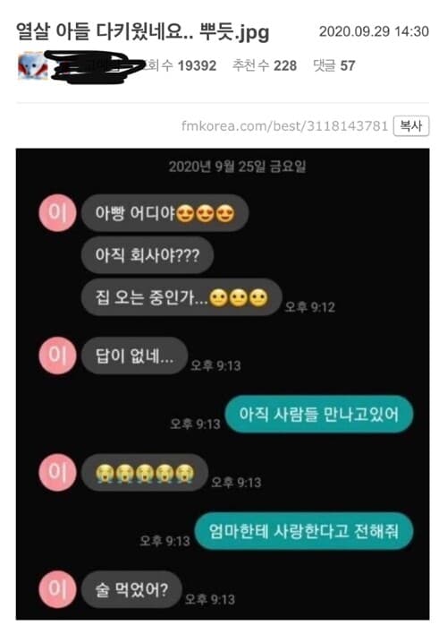 [비차량/펌] 열 살 아들 다 키웠네요... 게시글 썸네일