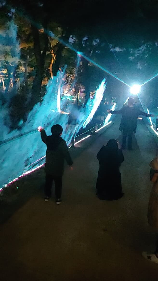 (비차량) 가족 나들이 추천 - 창경궁 야간개장 게시글 썸네일