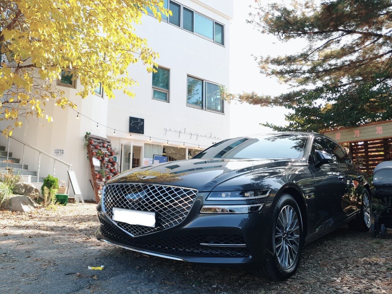 제네시스 G80 가솔린 2.5 터보 파퓰러 패키지 게시글 썸네일