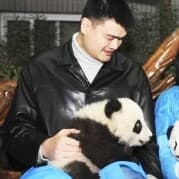 [비자동차] 블핑을 비난하는 중국인들의 내로남불 게시글 썸네일