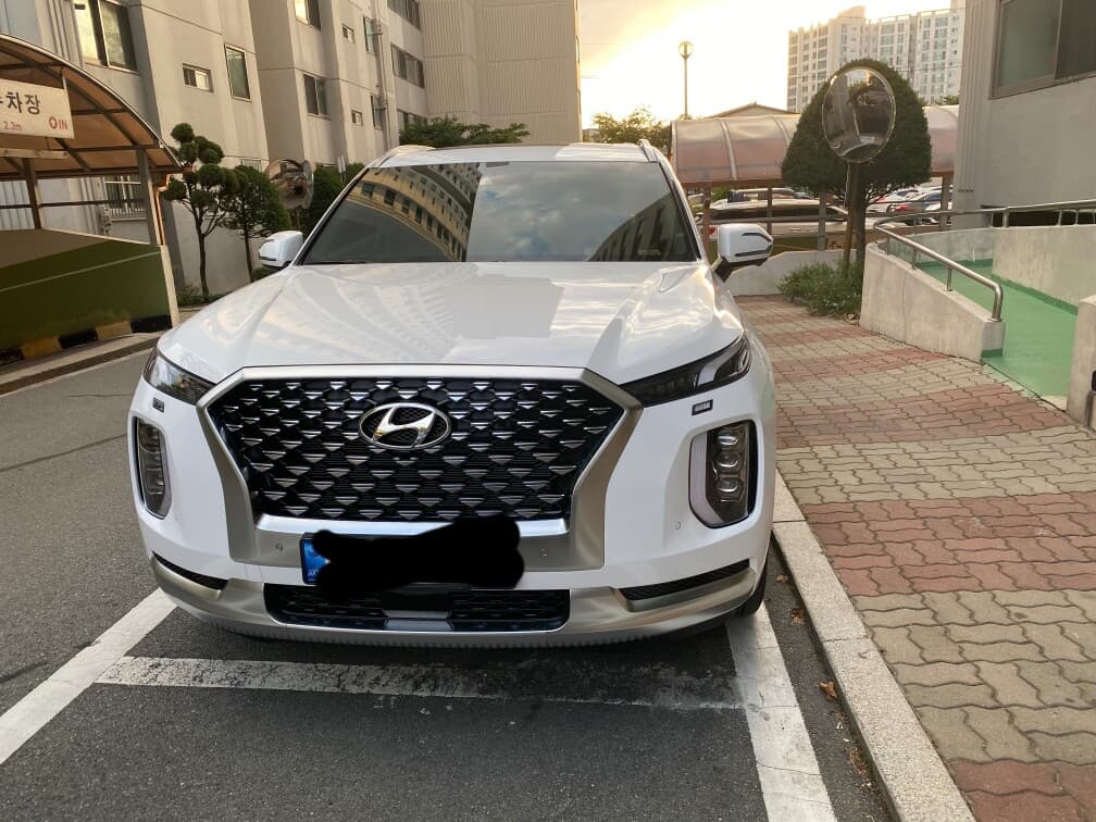 현대 팰리세이드 3.8 가솔린 캘리그라피 7인승 AWD 게시글 썸네일