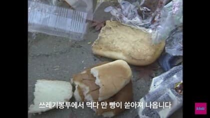 (웃)빵을 길바닥에 버리고 다니던 시절.. 게시글 썸네일