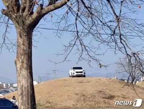 신라 고분 위 SUV 주차 게시글 썸네일