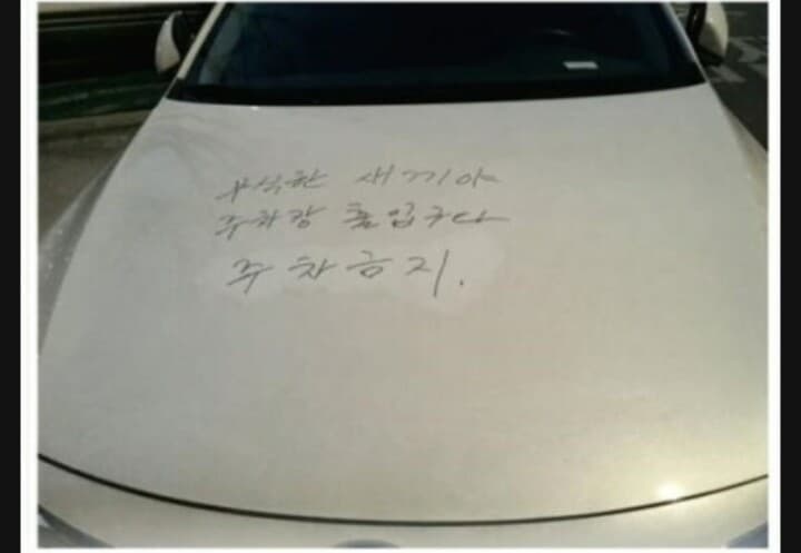 개념 없는 주차  참교육 방법 게시글 썸네일