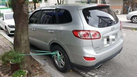 (유머)태풍에 날라갈까바 대비한 차 게시글 썸네일