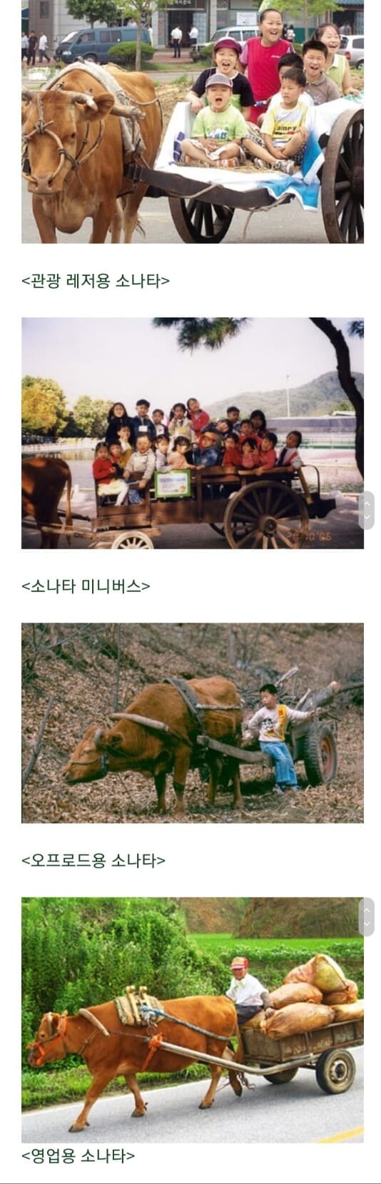 (유머)소나타의 변신 게시글 썸네일