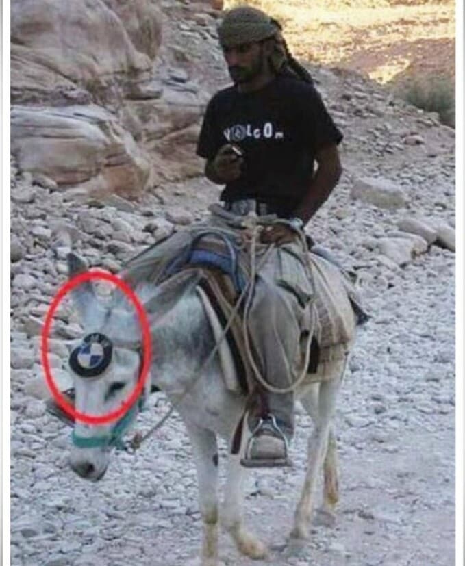 (유머)BMW오너가 되고 싶은 낙타주인 게시글 썸네일