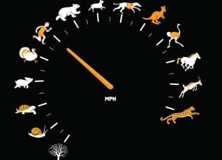 신개념 속도  계기판 게시글 썸네일