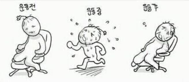 (공감)운동전 운동중 운동후 게시글 썸네일