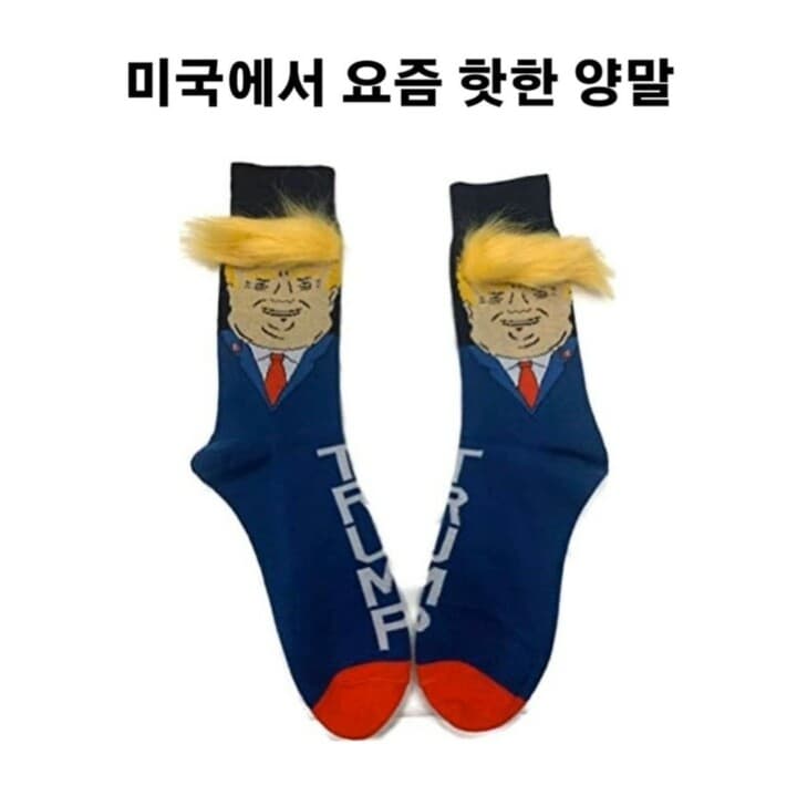 (유머) 핫했던 트럼프 양말 게시글 썸네일