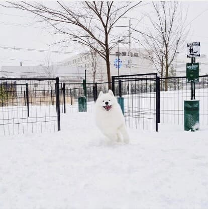 [비차량]서울. 경기지역 대설주의보 발령 게시글 썸네일