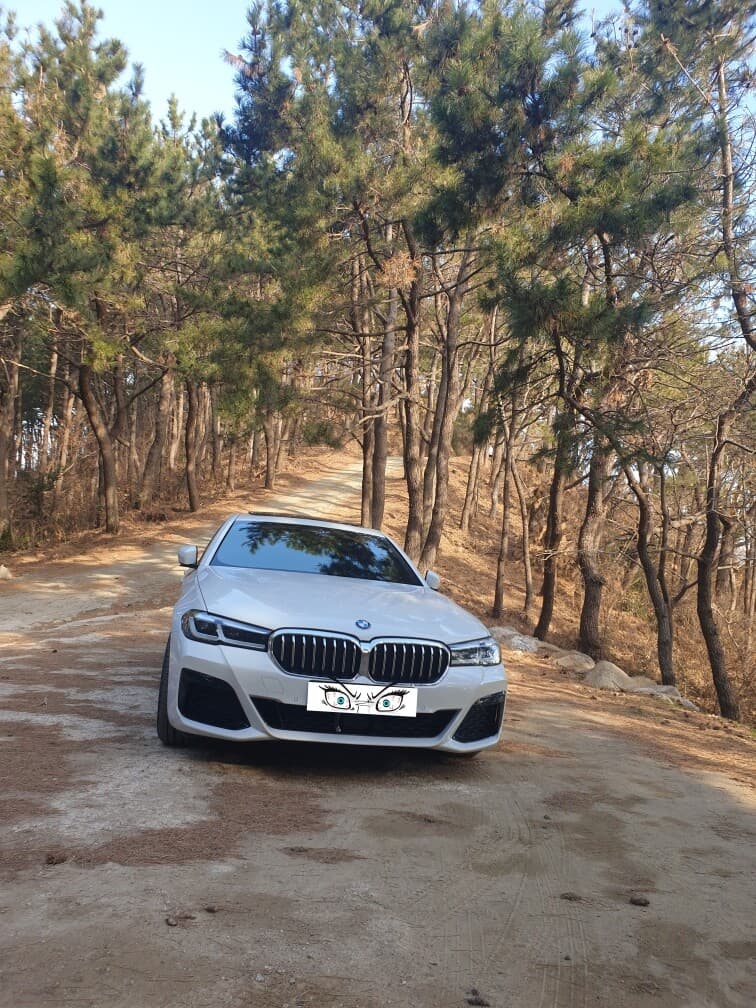 BMW 5시리즈 520i M 스포츠 패키지 게시글 썸네일