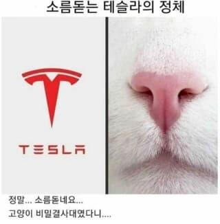 [펌]소름돋는 테슬라의 정체.jpg 게시글 썸네일