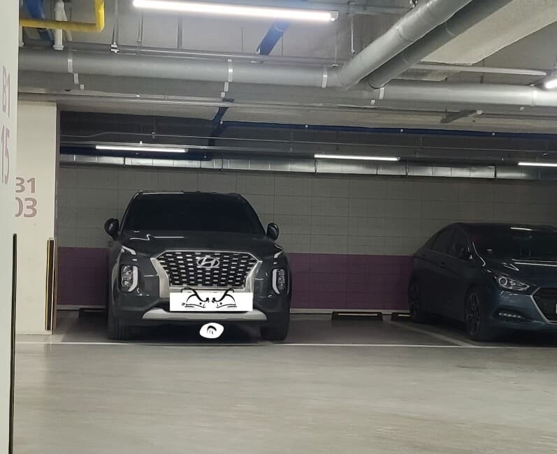 선 넘은 펠리세이드 주차 게시글 썸네일