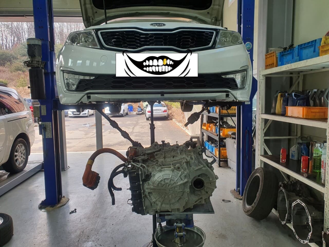 K5 하브 마지막 심폐소생 게시글 썸네일