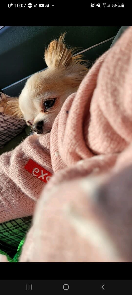 고수님들 혹시 이 차량 맞추시는분 있나요ㅋㅋ 게시글 썸네일