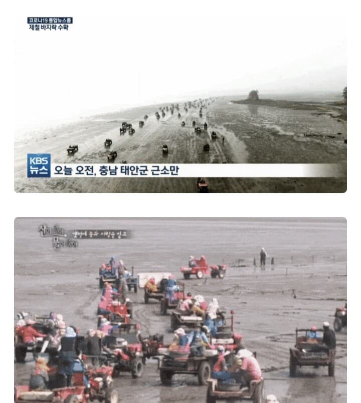 (유머)한국판 매드 맥스 ㅋ 게시글 썸네일