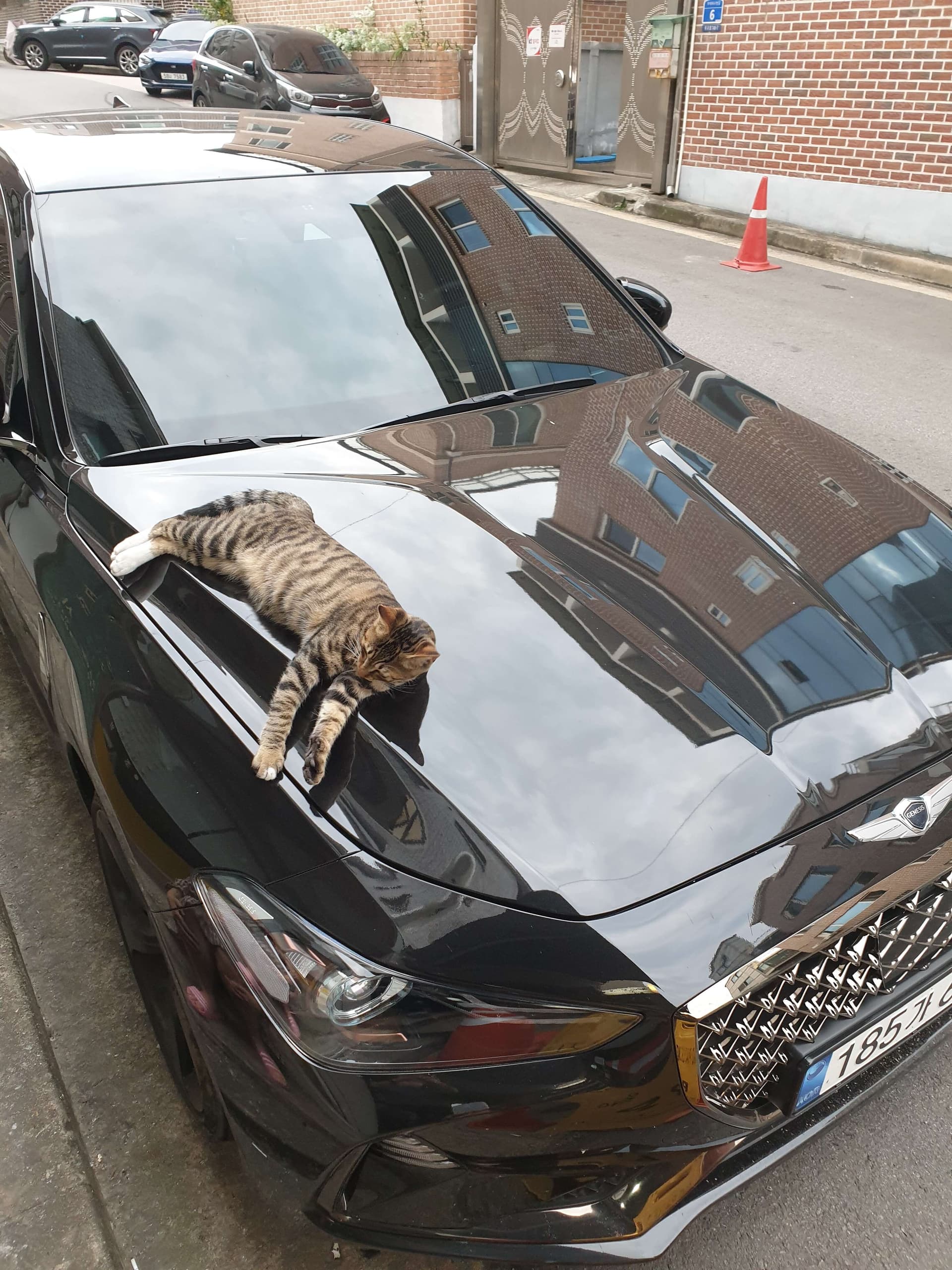 제네시스 G70 3.3T AWD 스포츠 파퓰러 패키지 게시글 썸네일