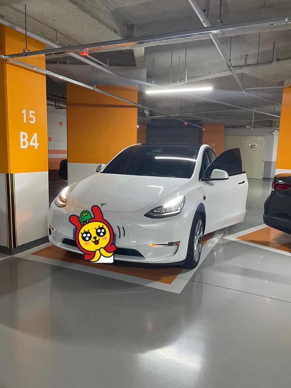 테슬라 모델 Y 스탠다드 레인지 게시글 썸네일