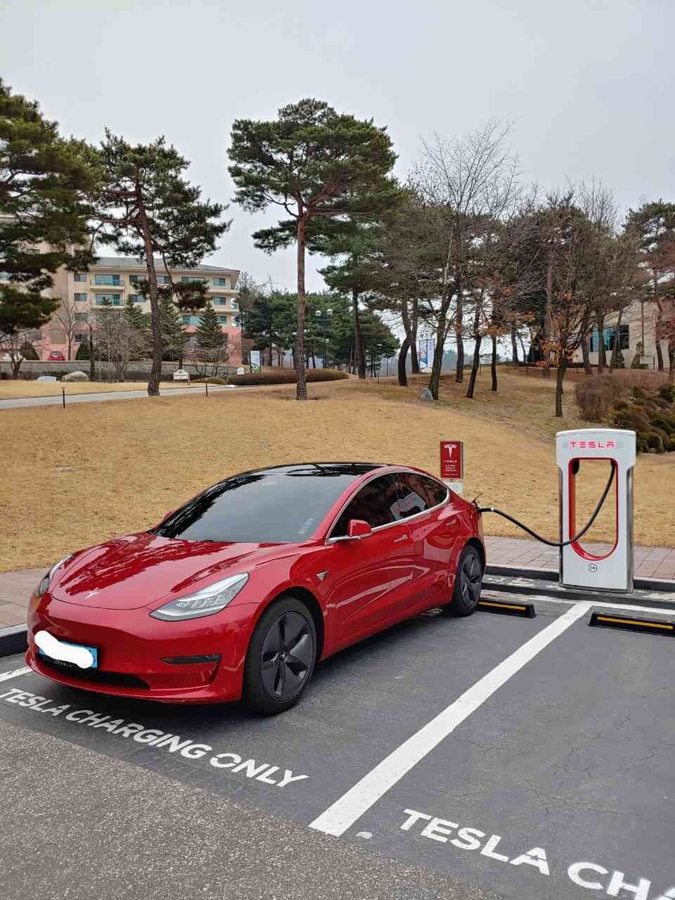 테슬라 모델 3 롱레인지 게시글 썸네일