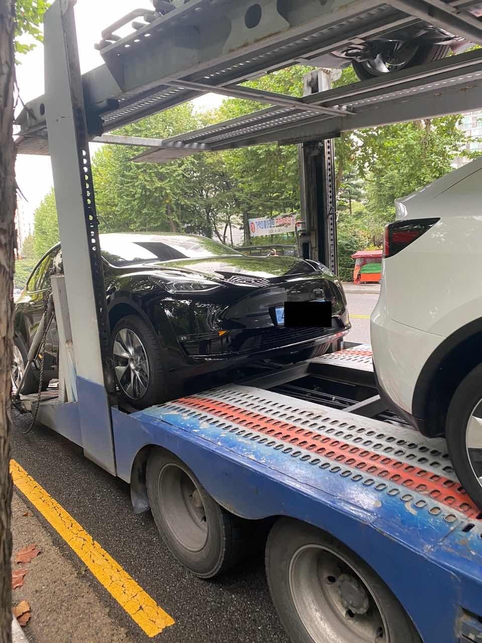 테슬라 모델 Y 스탠다드 레인지 게시글 썸네일