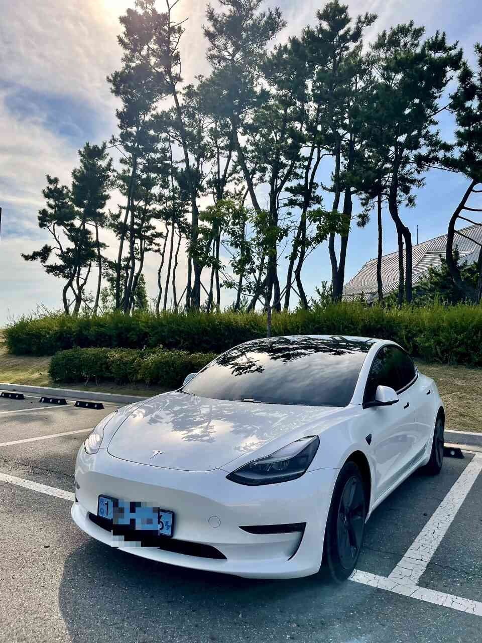 테슬라 모델 3 롱레인지 게시글 썸네일