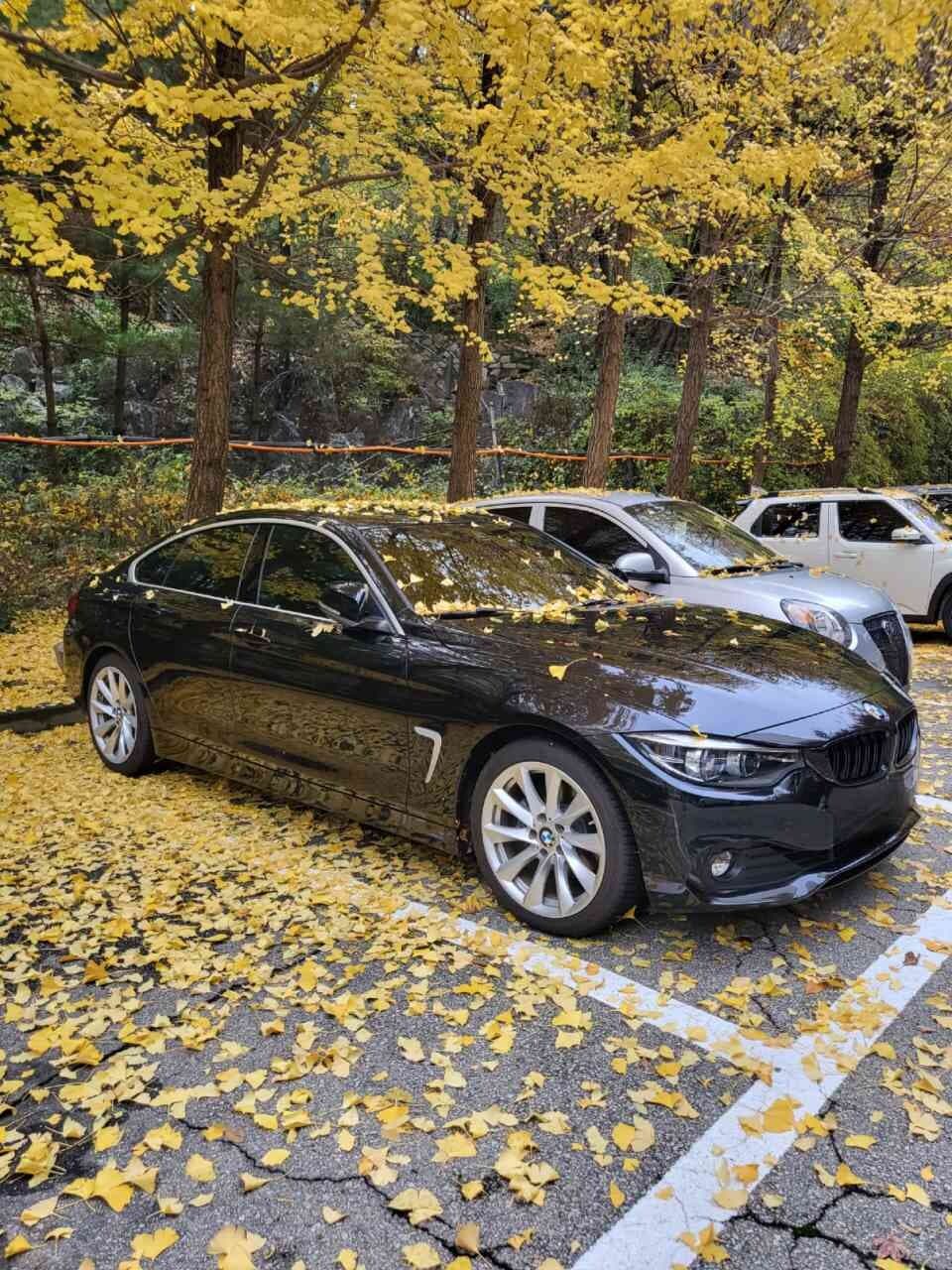 BMW 4시리즈 420i 그란쿠페 SE LCI 게시글 썸네일