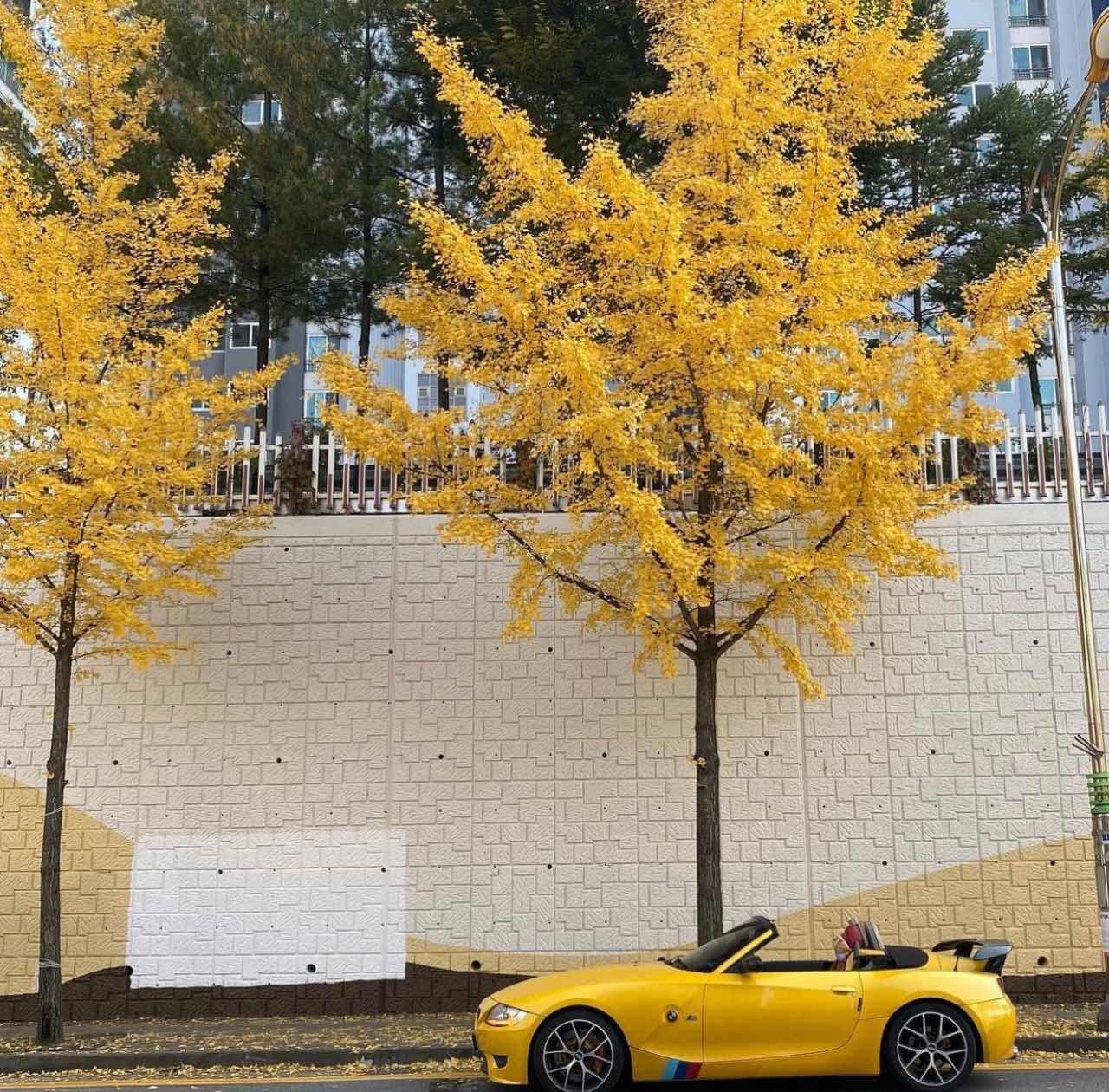 BMW Z4 28i sDrive 게시글 썸네일