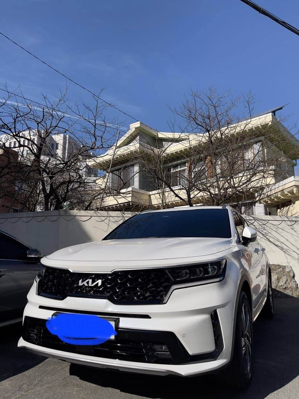 기아 쏘렌토 하이브리드 시그니처 6인승 2WD 게시글 썸네일