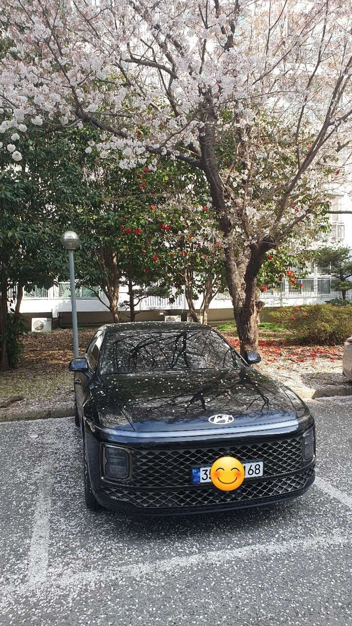 현대 그랜저 하이브리드 캘리그래피 게시글 썸네일