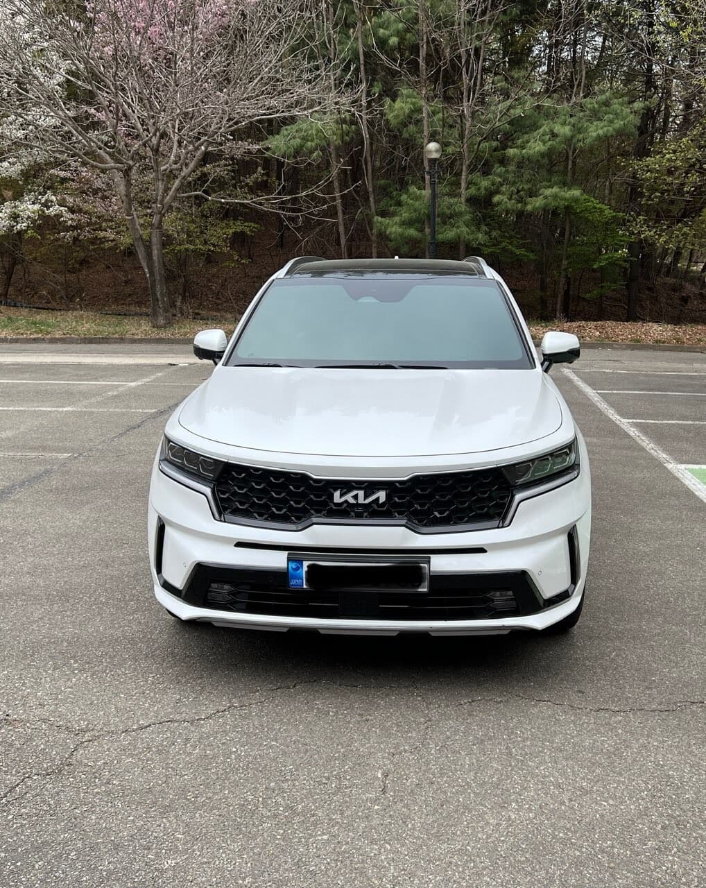 기아 쏘렌토 하이브리드 노블레스 6인승 2WD 게시글 썸네일