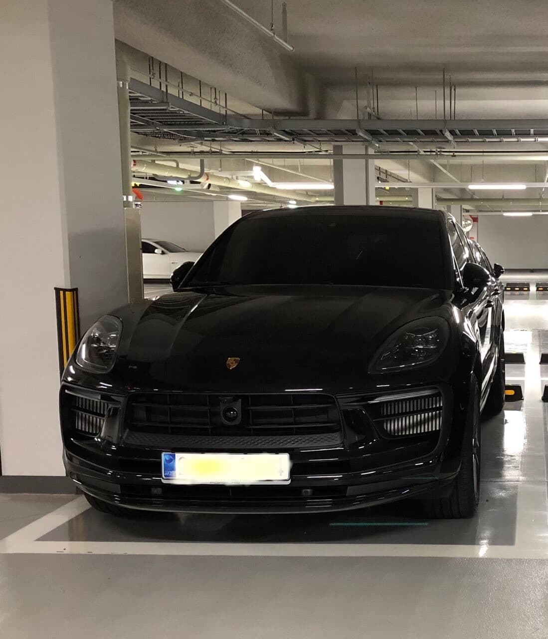 호랭이 게시글 썸네일