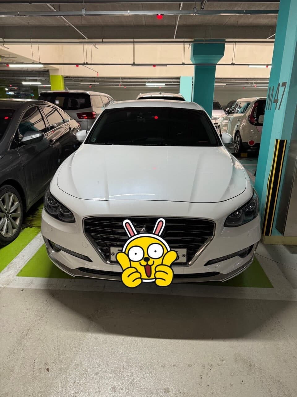 든든한 국산 차량 게시글 썸네일