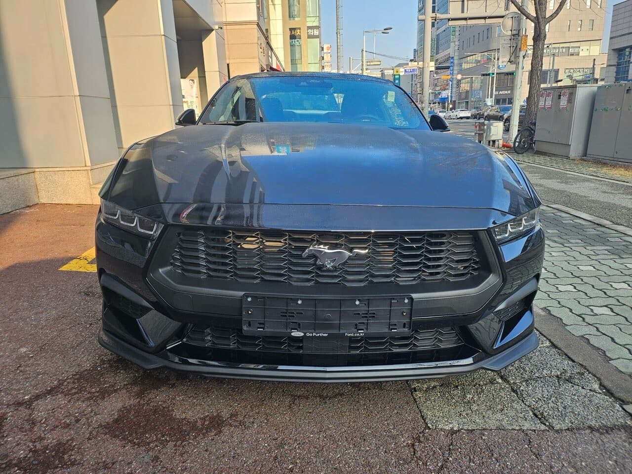 7세대 머스탱 패션카 후기 게시글 썸네일