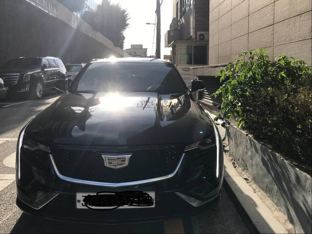 캐딜락 CT4 스포츠 게시글 썸네일